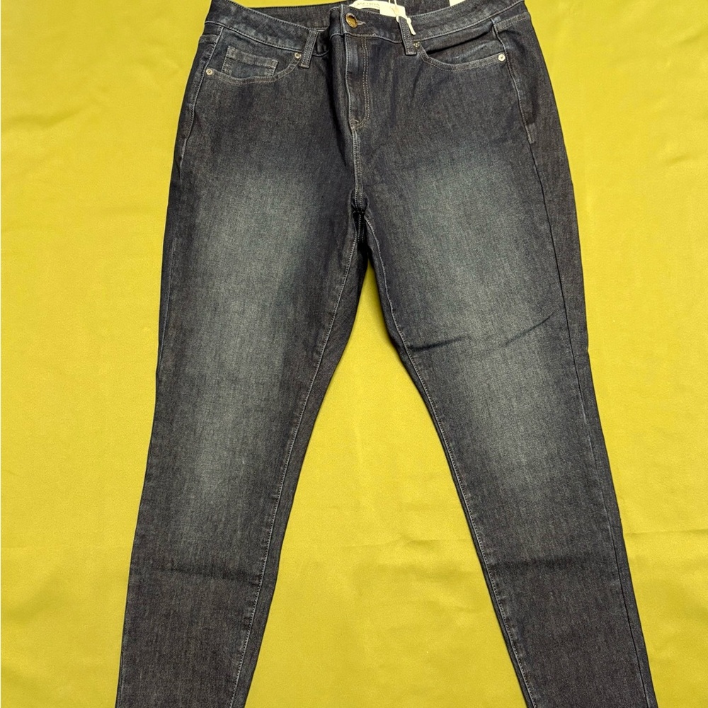 Lane Bryant Dark Wash Skinny Jeans